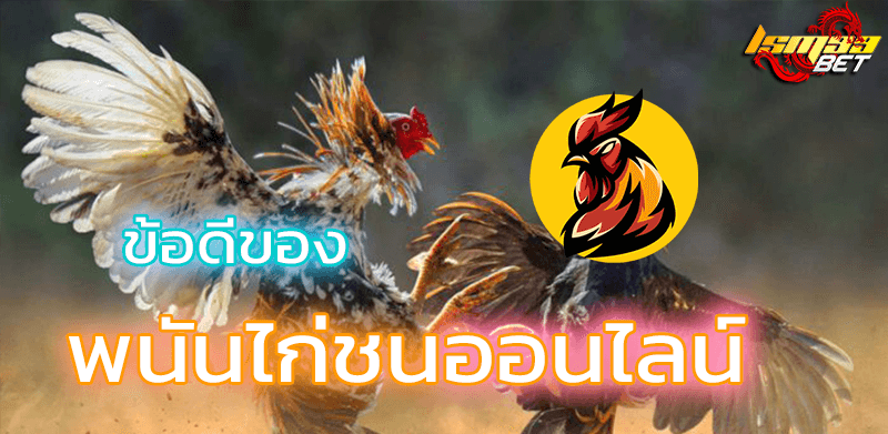 ข้อดีพนันไก่ชน LSM99