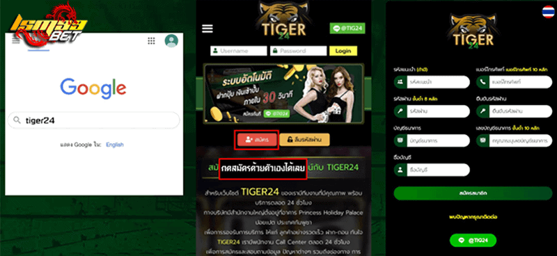 Tiger24 ทางเข้า